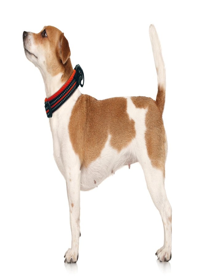 أم-بيتس طوق M-PETS الناعم للكلاب، مناسب للمشي لمسافات طويلة، مبطن بشبكة هوائية تسمح بالتهوية، مزود بشريطين عاكسين مزدوجين لمزيد من الأمان، يقلل من الإجهاد أثناء الشد، سريع الجفاف، مزود بإبزيم وحلقة متينة، مقاس رقبة قابل للتعديل من 30 إلى 40 سم، صغير - Image 3